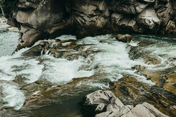 Où découvrir les traditions de la fabrication du fromage en Suisse?
