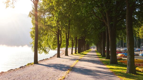 Top 5 des randonnées accessibles à Annecy à ne pas manquer